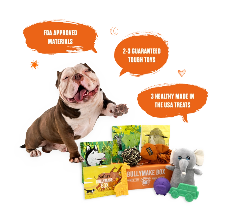 Bullymake Box A Dog Subscription Box For Power Chewers!