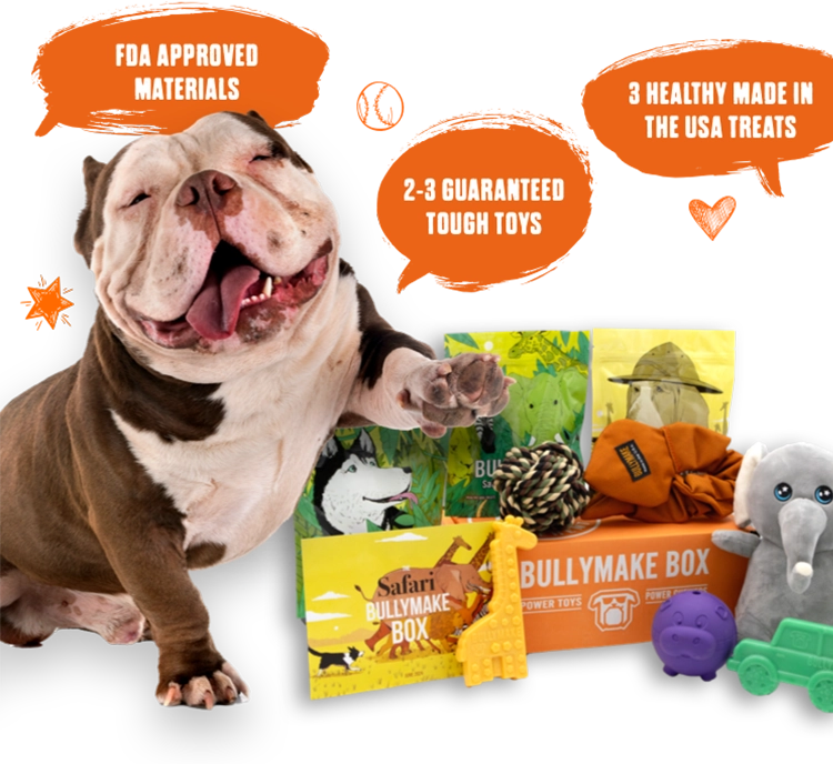 Bullymake Box A Dog Subscription Box For Power Chewers!